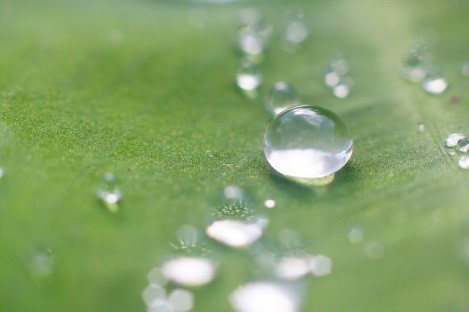 涂料疏水助劑